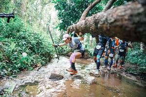 BIB: 
                            <button type="button" onclick="openModal(25373697)" class="btn btn-primary btn-sm float-right btn-popup" data-toggle="modal" data-target=".modal-high-quality">
                        <i class="fas fa-shopping-cart"></i> Add to Cart
                    </button>
                                            <button type="button" onclick="isThisMe(25373697, true)" class="btn btn-success btn-sm float-right btn-popup btn-isme hidden" data-toggle="tooltip" data-placement="bottom" title="นี่คือรูปของคุณใช่ไหม คลิกที่นี่เพื่อเอาเข้าอัลบั้ม">
                        <i class="fas fa-plus"></i> Add to album
                    </button>
                    <button type="button" onclick="isThisMe(25373697, false)" class="btn btn-warning btn-sm float-right btn-popup btn-isnotme hidden">
                        <i class="fas fa-ban"></i> Remove from album
                    </button>